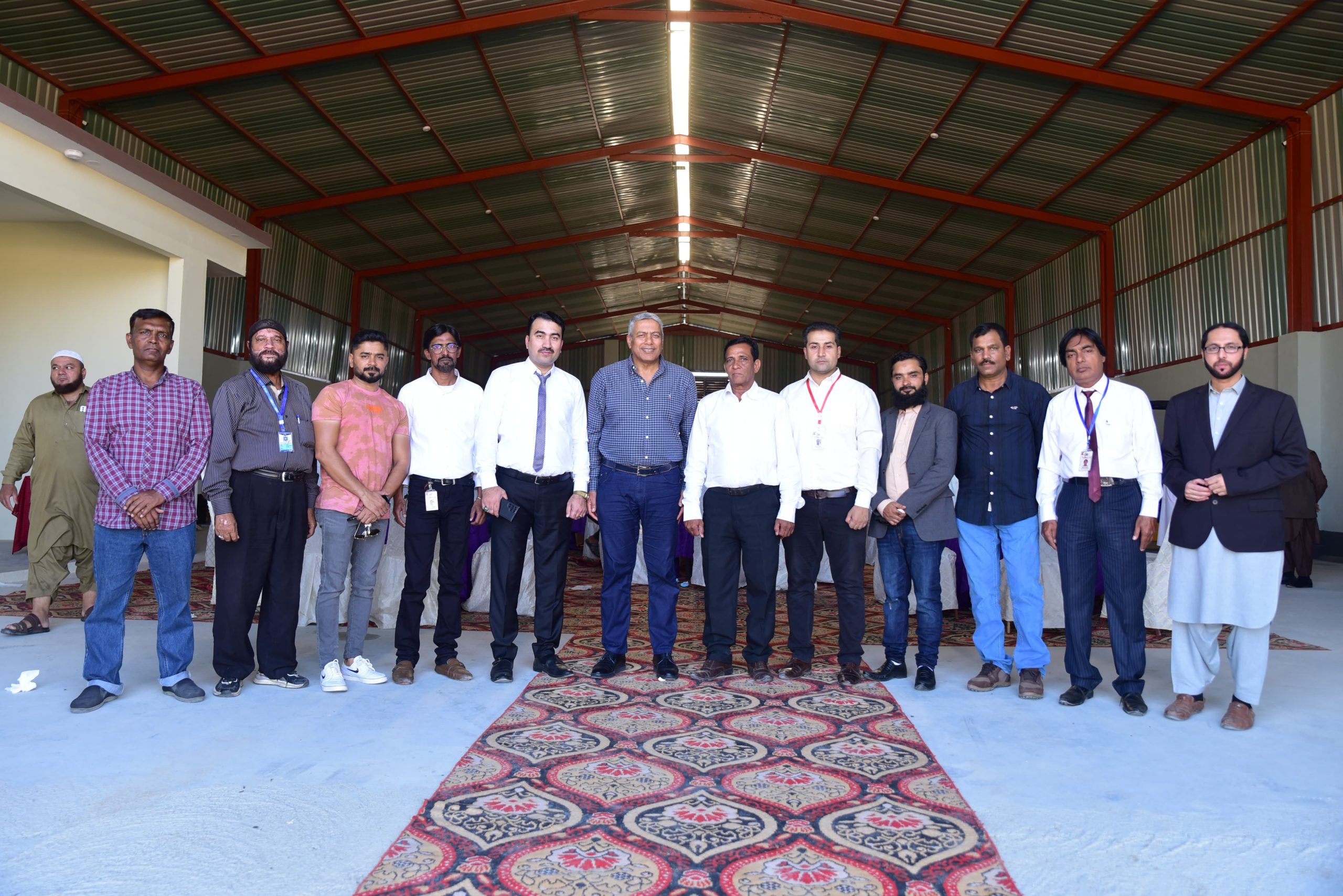 Freeline Shipping (8)